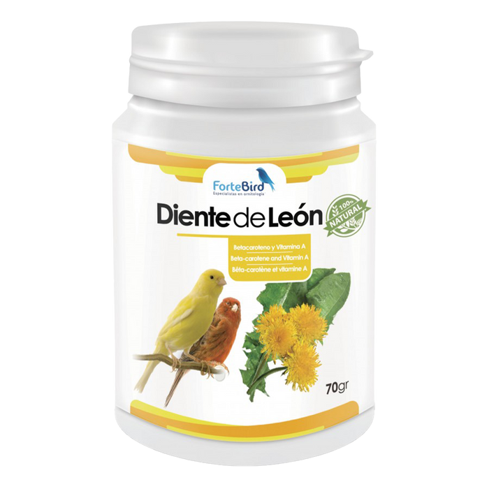 ForteBird Diente de León (Dandelion Powder) 70 g