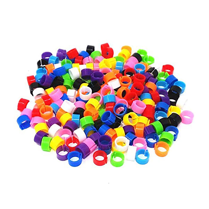 Snap Bands Colored for Pigeons - 100 Pack
