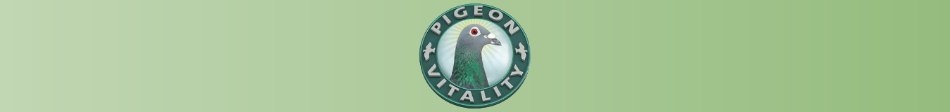 Pigeon Vitality