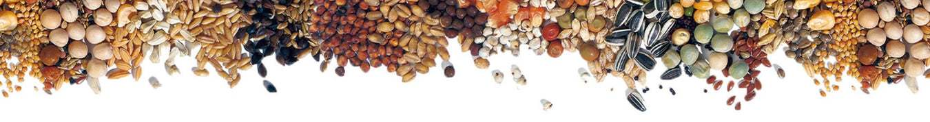 Grains & Seeds