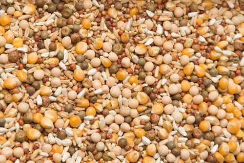 Purgrain Conditioner/Breeder Popcorn 50lb — Global Pigeon Supplies Inc.