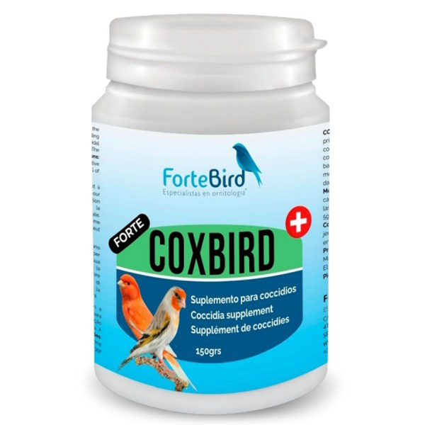 ForteBird CoxBird Forte