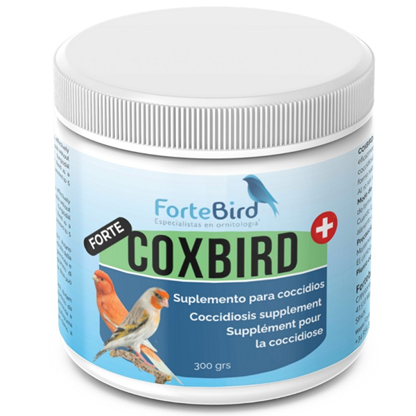 ForteBird CoxBird Forte