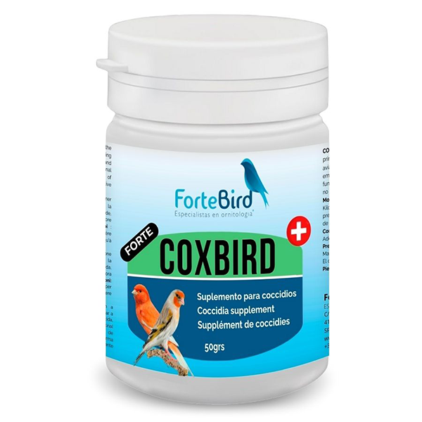 ForteBird CoxBird Forte