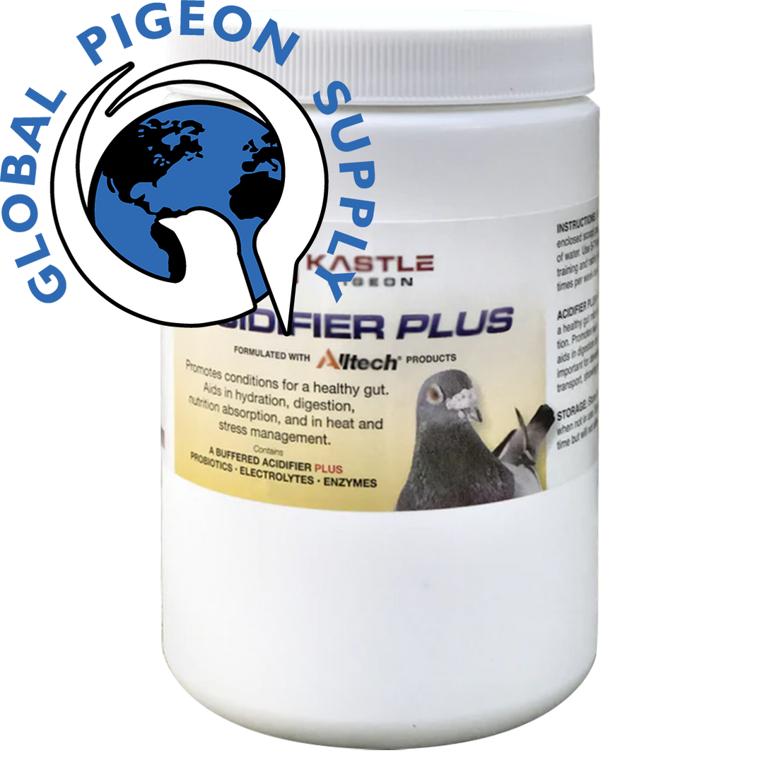 Kastle Pigeon — Global Pigeon Supplies Inc.