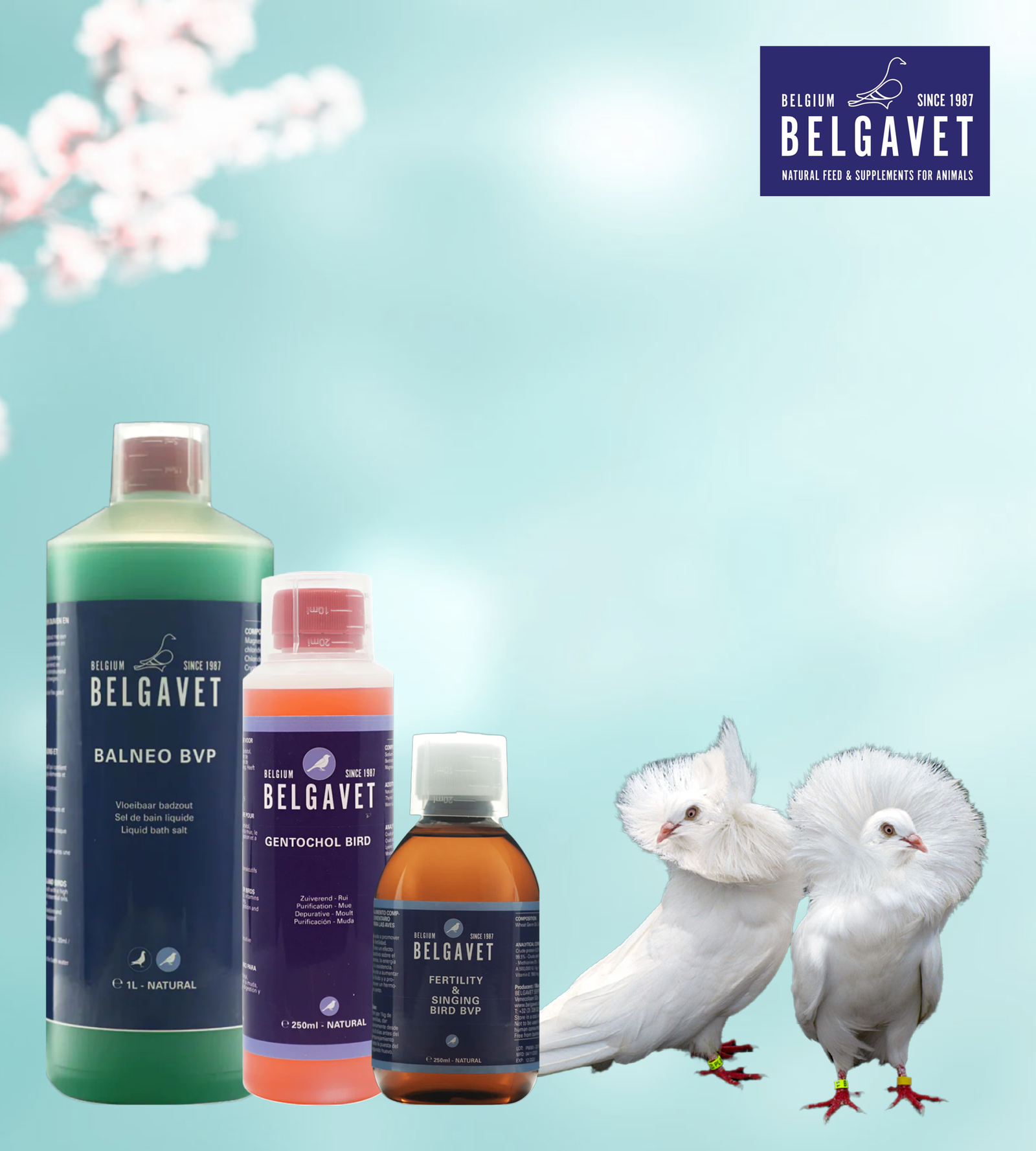 Global Pigeon Supply — Global Pigeon Supplies Inc.