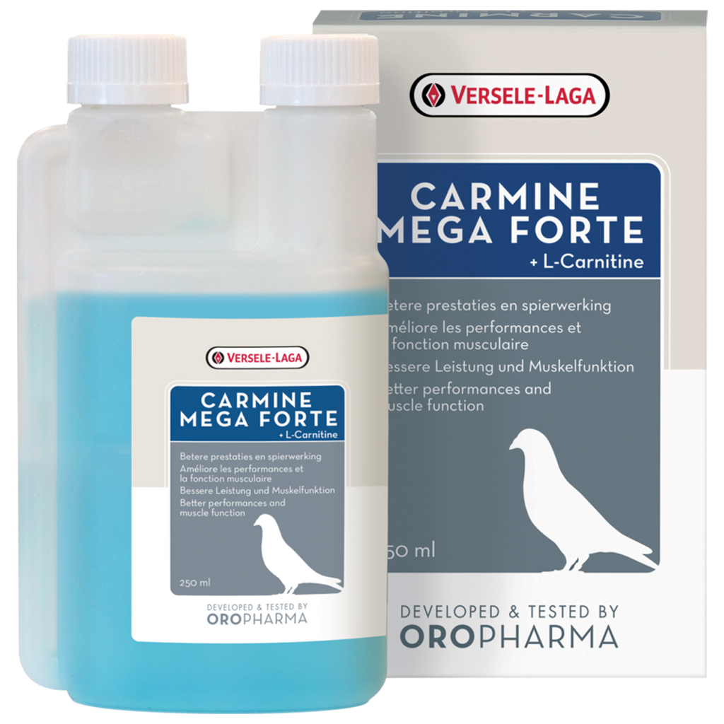 Oropharma Carmine Mega Forte + L-Carnitine 250 ml — Global Pigeon Supplies Inc Oropharma Carmine Mega Forte + L-Carnitine 250 ml — Global Pigeon Supplies Inc