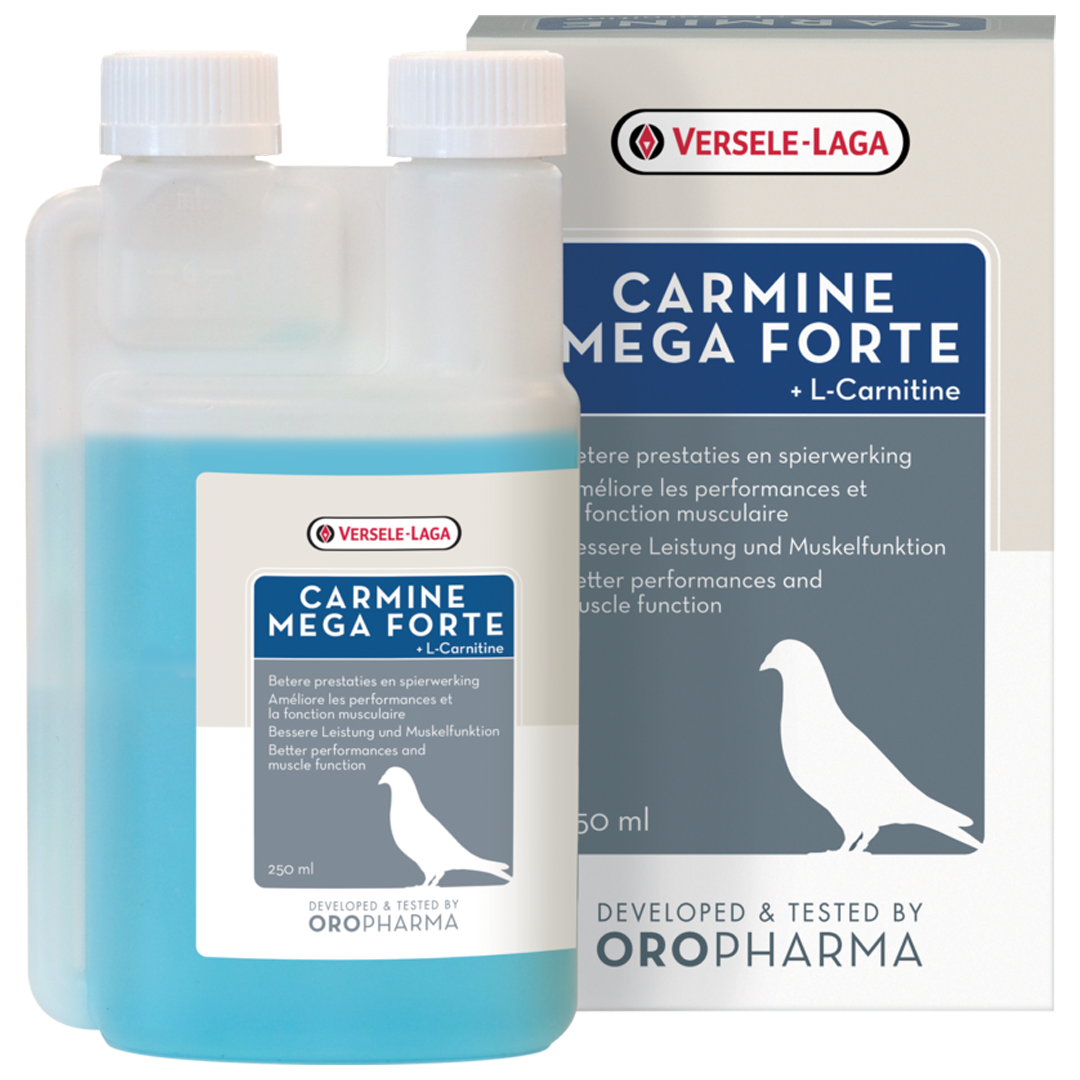 china bulk l carnitine for sale Oropharma Carmine Mega Forte + L-Carnitine 250 ml Commit to your health Fair - Your routine Size:Pre-Filled Pen (300mg) skin tan