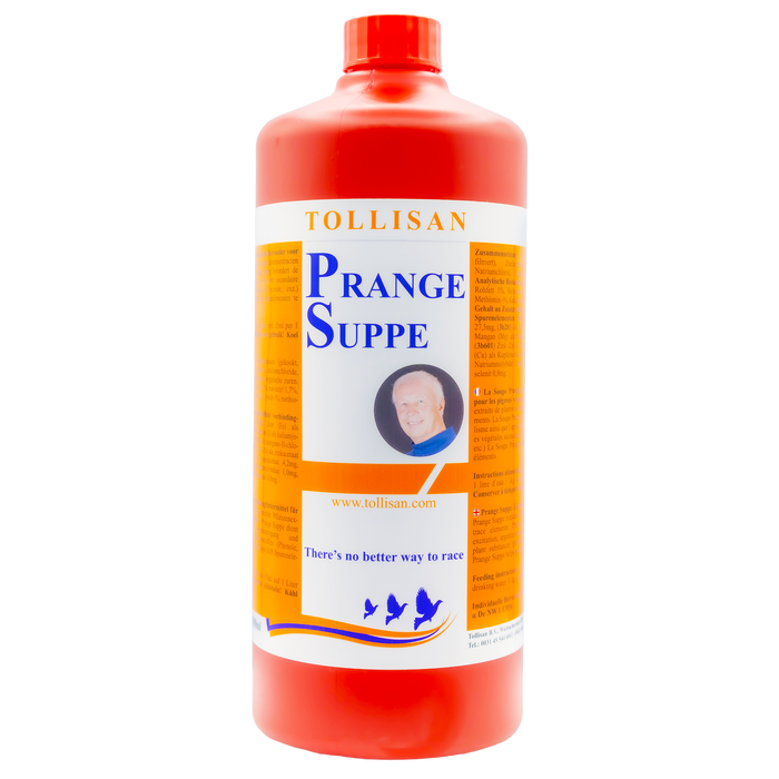 Tollisan PS Prange Soup 1 L