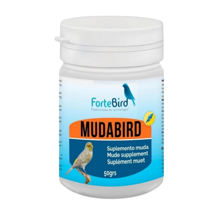 ForteBird MudaBird