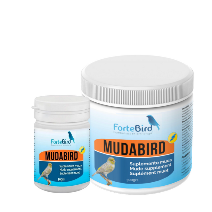ForteBird MudaBird