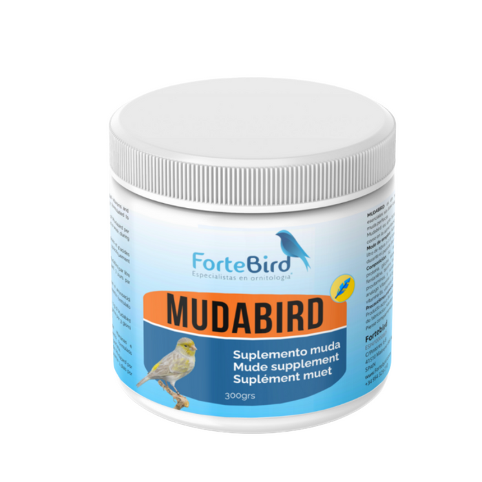 ForteBird MudaBird