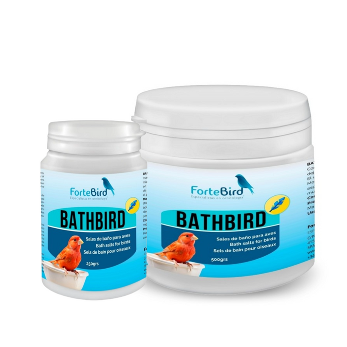 ForteBird BathBird