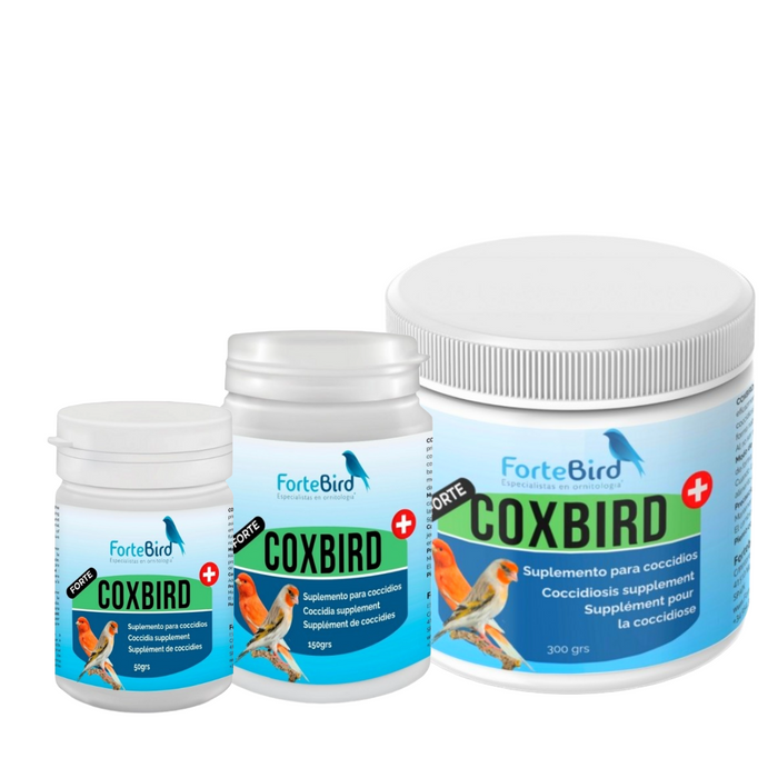 ForteBird CoxBird Forte