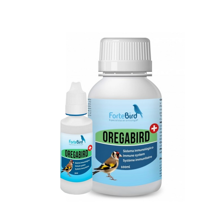 ForteBird OregaBird