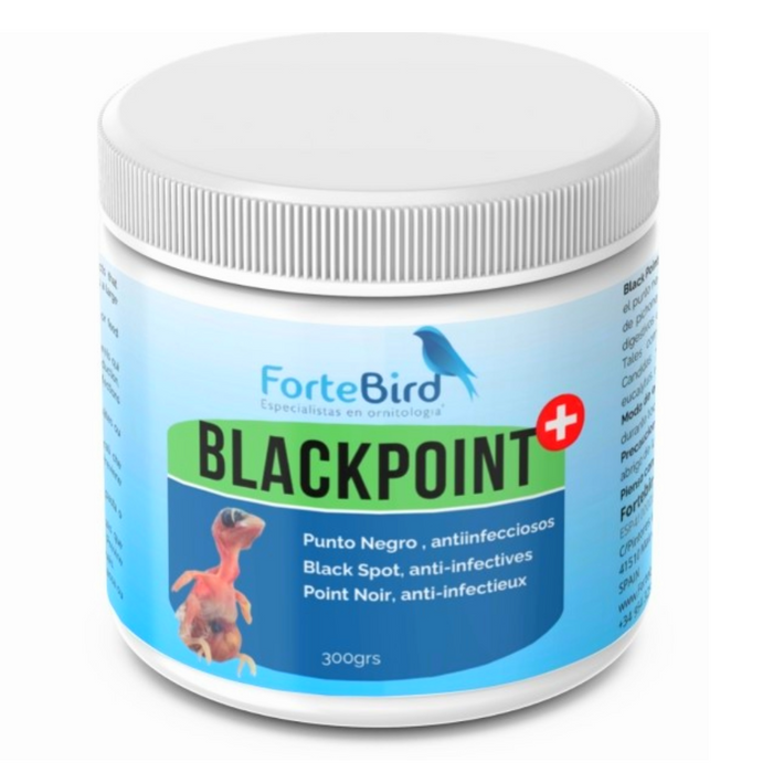 ForteBird Black Point