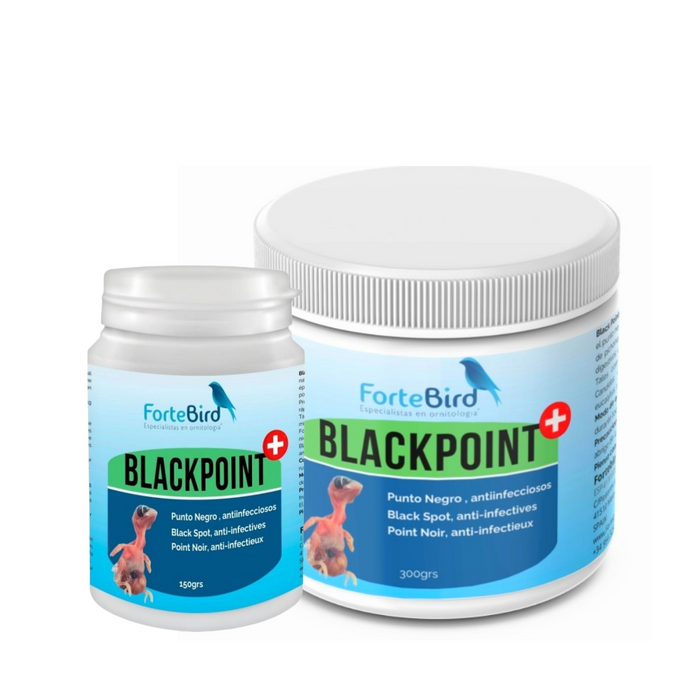 ForteBird Black Point