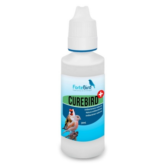 ForteBird CureBird