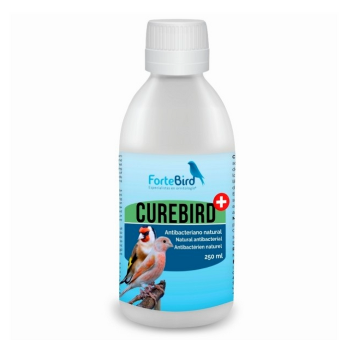 ForteBird CureBird