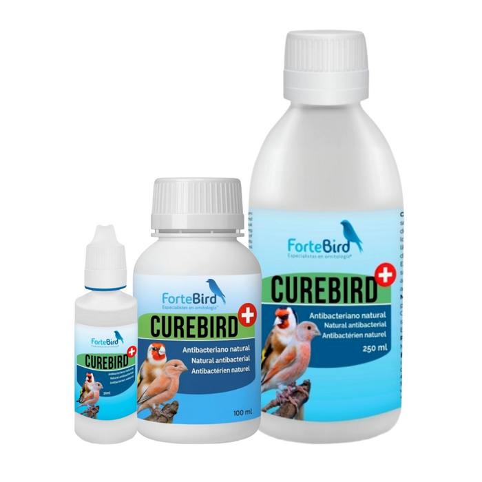 ForteBird CureBird