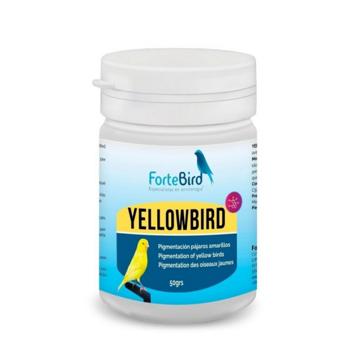 ForteBird YellowBird