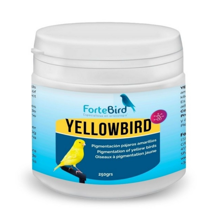 ForteBird YellowBird