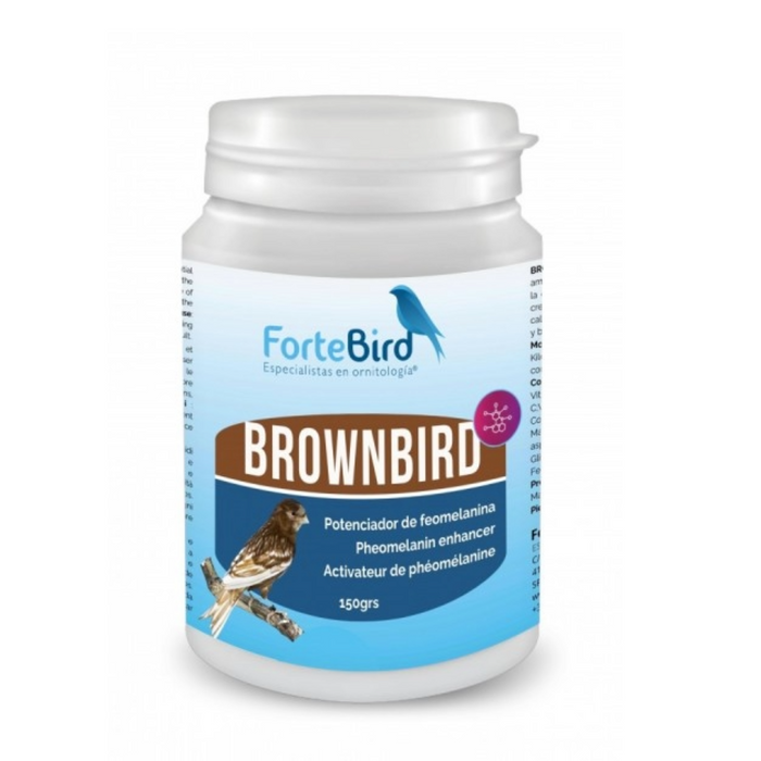 ForteBird BrownBird
