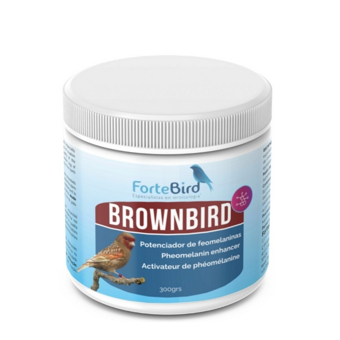 ForteBird BrownBird
