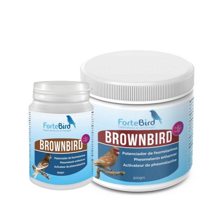 ForteBird BrownBird