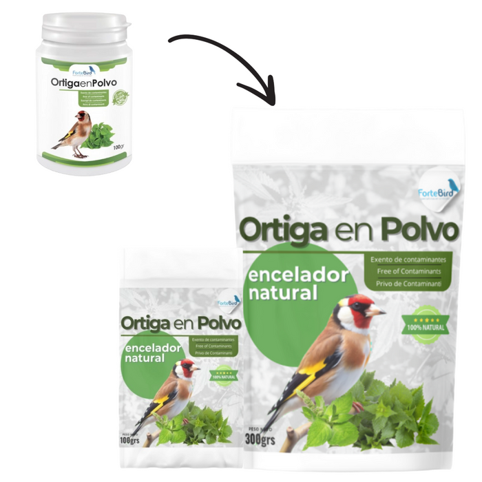 ForteBird Ortiga en Polvo (Nettle Powder)