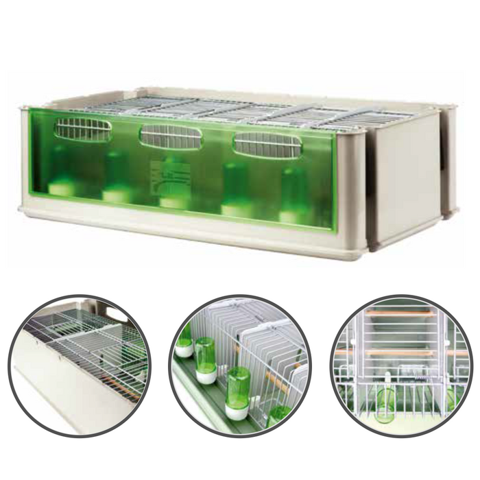 2GR Maxi Tino Transport Cage for Budgerigar 5 Spaces Art. 204