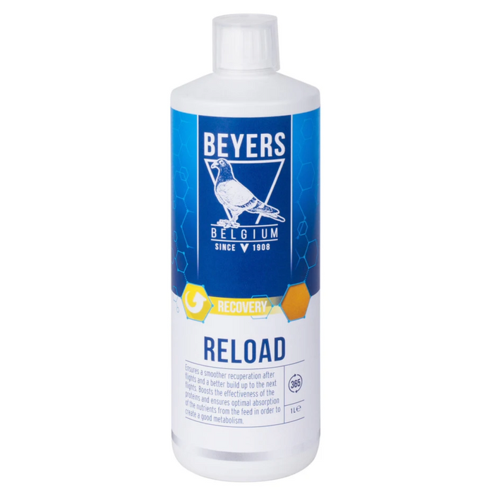 Beyers Reload 1L