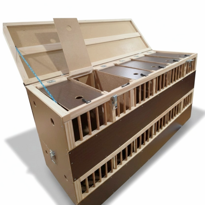 Polmark Transportation Basket with Divder- Double Decker
