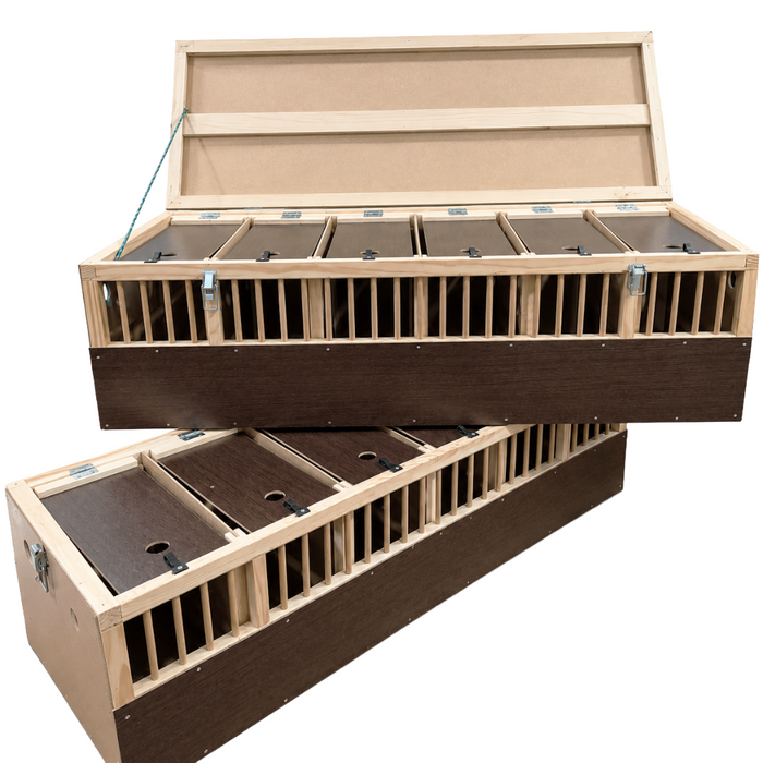 Polmark Transportation Basket with Divder- Double Decker