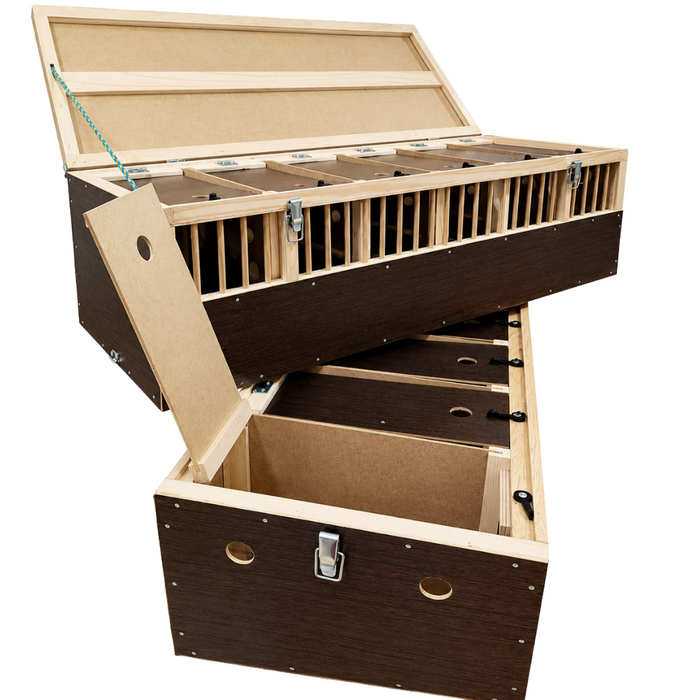 Polmark Transportation Basket with Divder- Double Decker