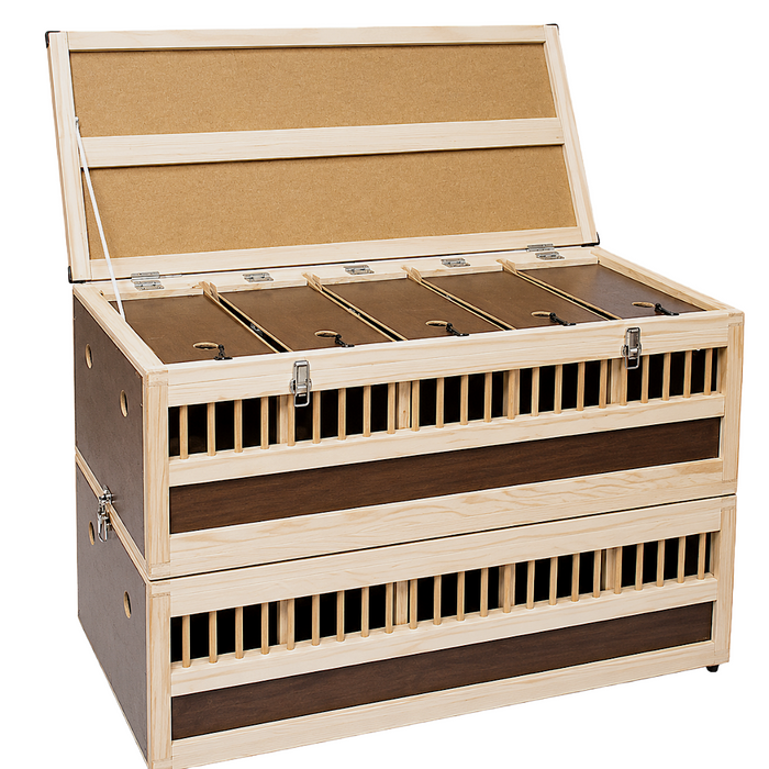 Polmark Transportation Basket with Divder- Double Decker