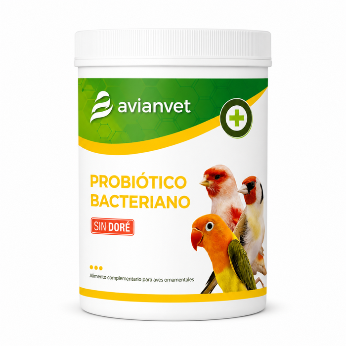 Avianvet Probiotico Bacteriano (Bacteria Probiotic)