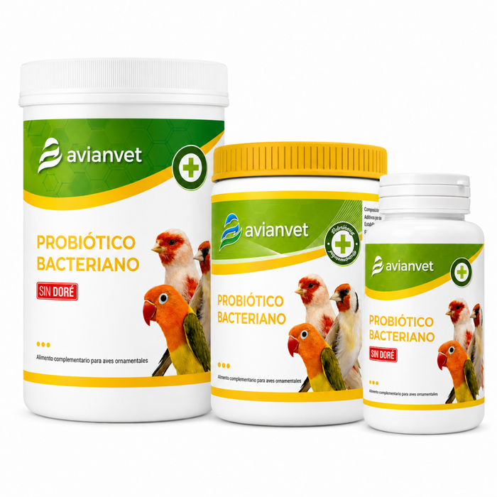 Avianvet Probiotico Bacteriano (Bacteria Probiotic)