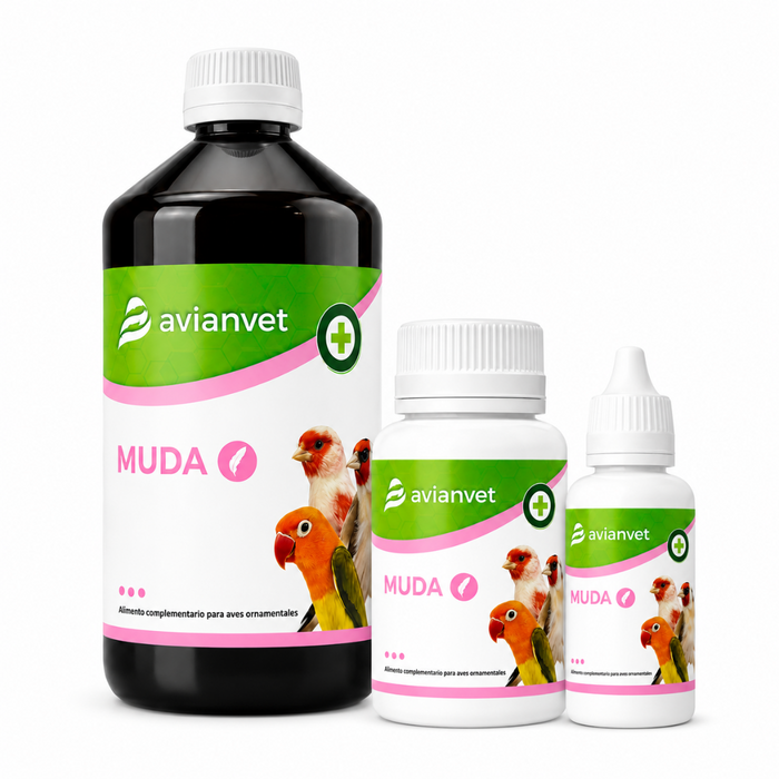Avianvet Muda