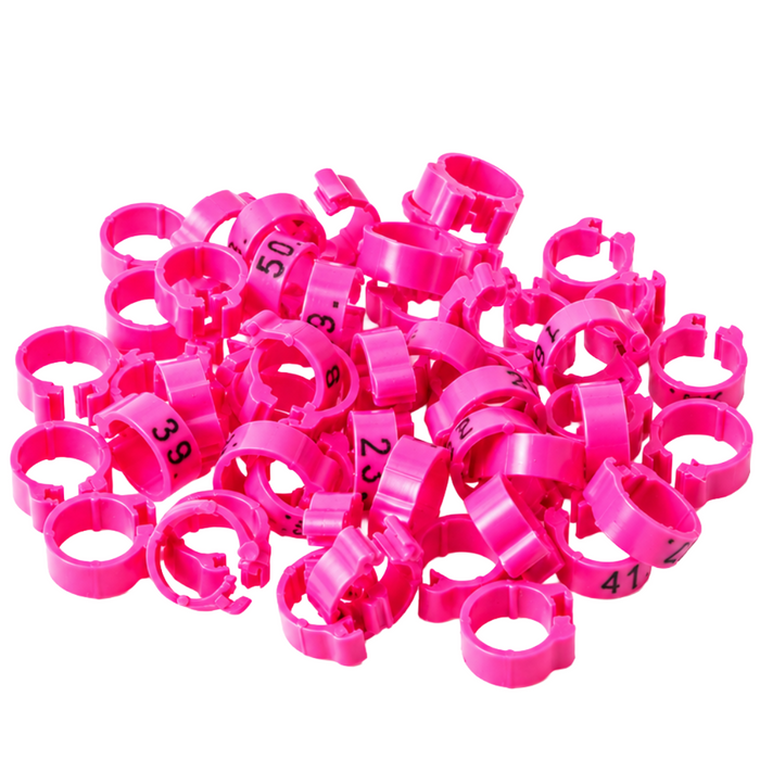 Polmark Numbered 1-50 Pigeon Bands 8mm