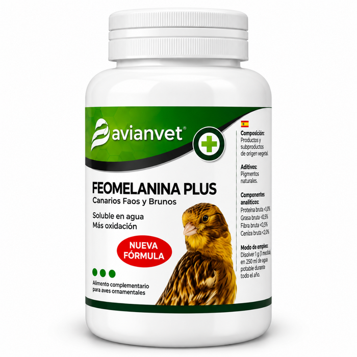 Avianvet Feomelanina