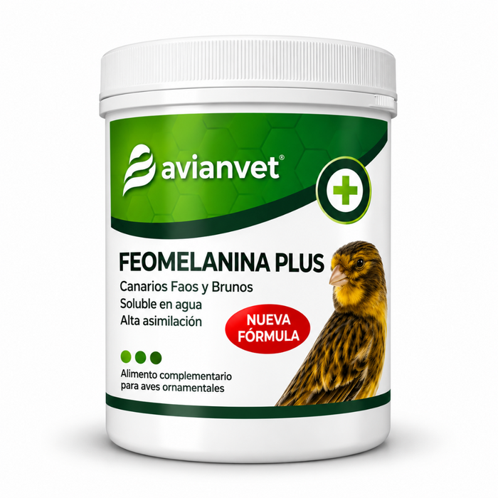Avianvet Feomelanina
