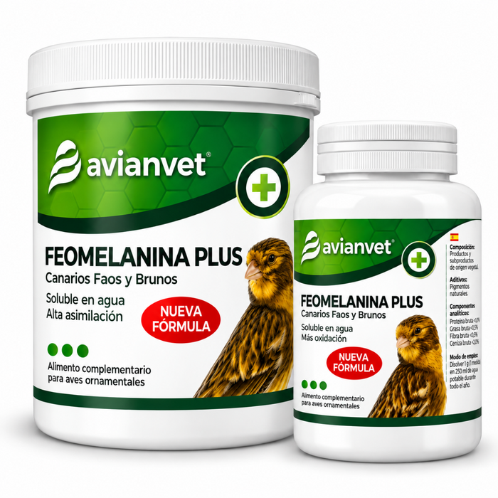 Avianvet Feomelanina