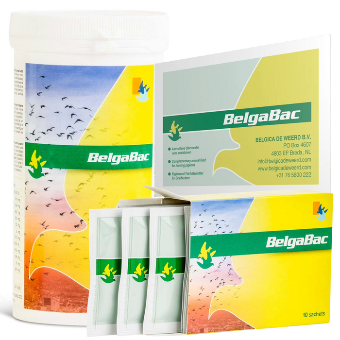 Belgica De Weerd BelgaBac