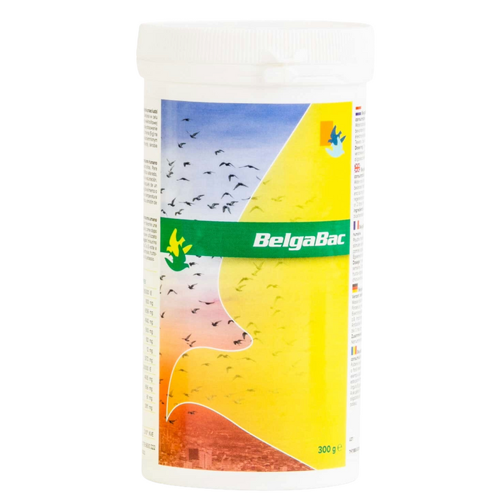 Belgica De Weerd BelgaBac