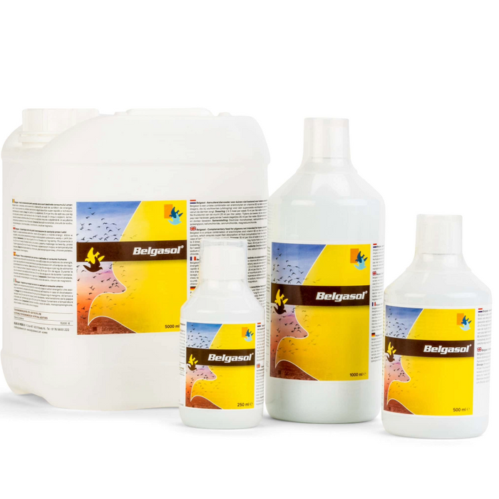 Belgica De Weerd Belgasol