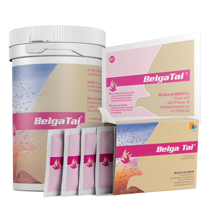 Belgica De Weerd Belga Tai