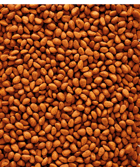 NutriBird G18 Original Pellets 22 lb - New York Bird Supply