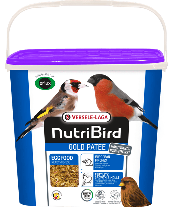 NutriBird Gold Patee- European Finches - New York Bird Supply