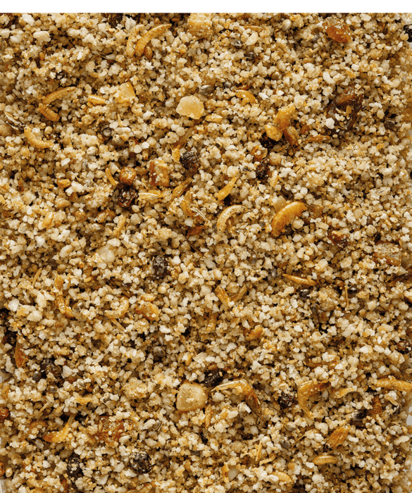 NutriBird Uni Patee 2.2 lb - New York Bird Supply